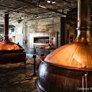 VISITE BRASSERIE + DEGUSTATION