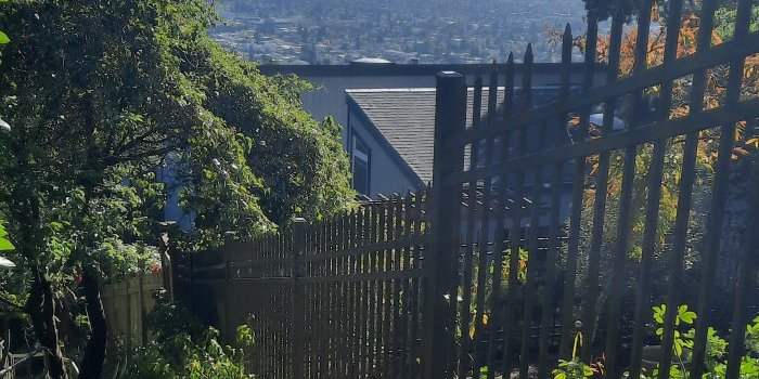"Berkeley, Campus & Campagne"