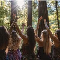 WALK IN NATURE GUIDED SESSION