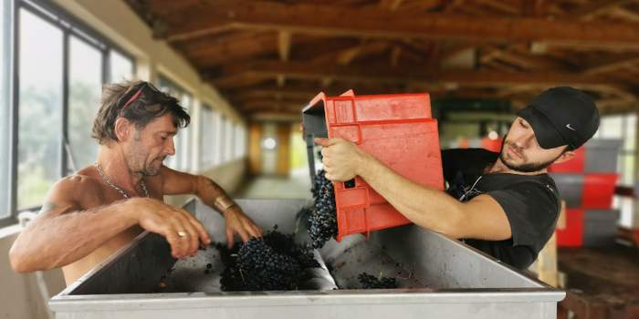 CONFÉRENCE SUR LE VIN ET DÉGUSTATION