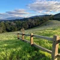 Marche South Bay