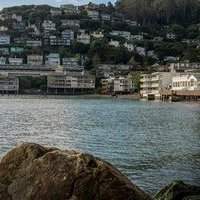 Marche Marin County